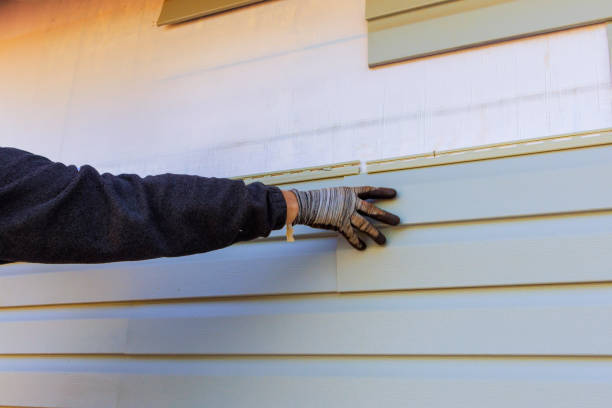 Best Siding for Multi-Family Homes  in Cicero, IL